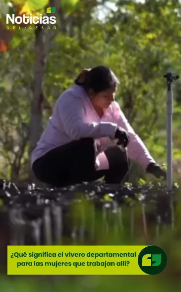 Gerente de Idecesar habla sobre el impacto del Vivero Departamental del Cesar en las mujeres trabajadoras