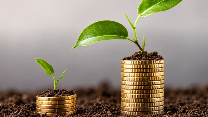 Plantas creciendo sobre monedas como símbolo de inversión y crecimiento financiero