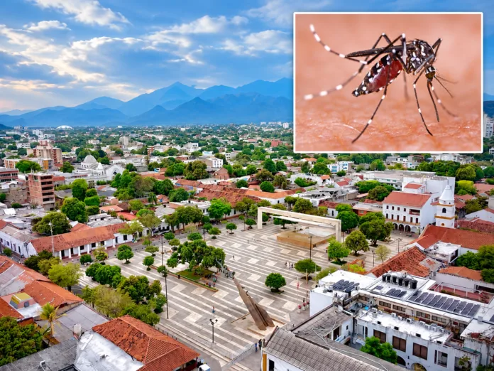 Panorámica de Valledupar junto al mosquito Aedes aegypti, transmisor del dengue.