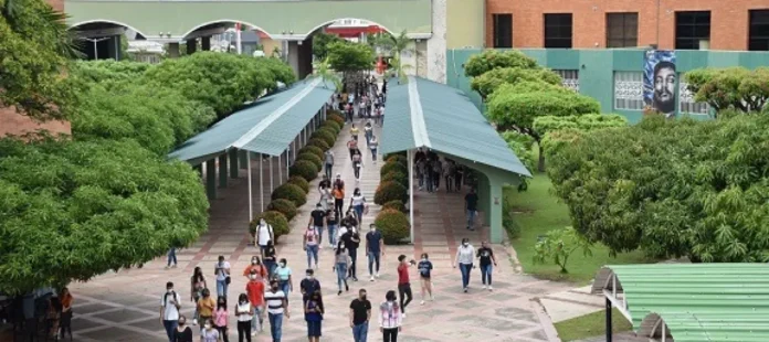Estudiantes universitarios en el Cesar, donde casi cinco de cada diez bachilleres no ingresan de inmediato a la educación superior