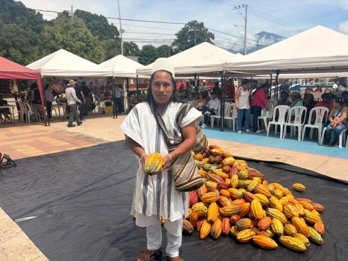 Productora de cacao participa en encuentro regional de cacaoteros en Pueblo Bello